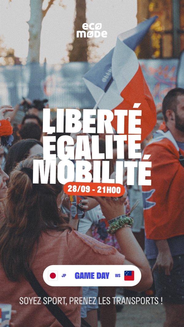 Illustration du projet Coupe du Monde de Rugby